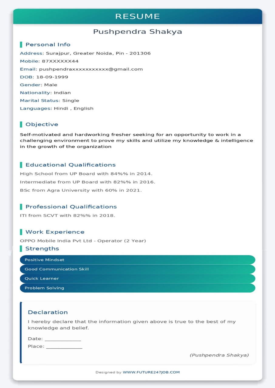 Resume Design 14
