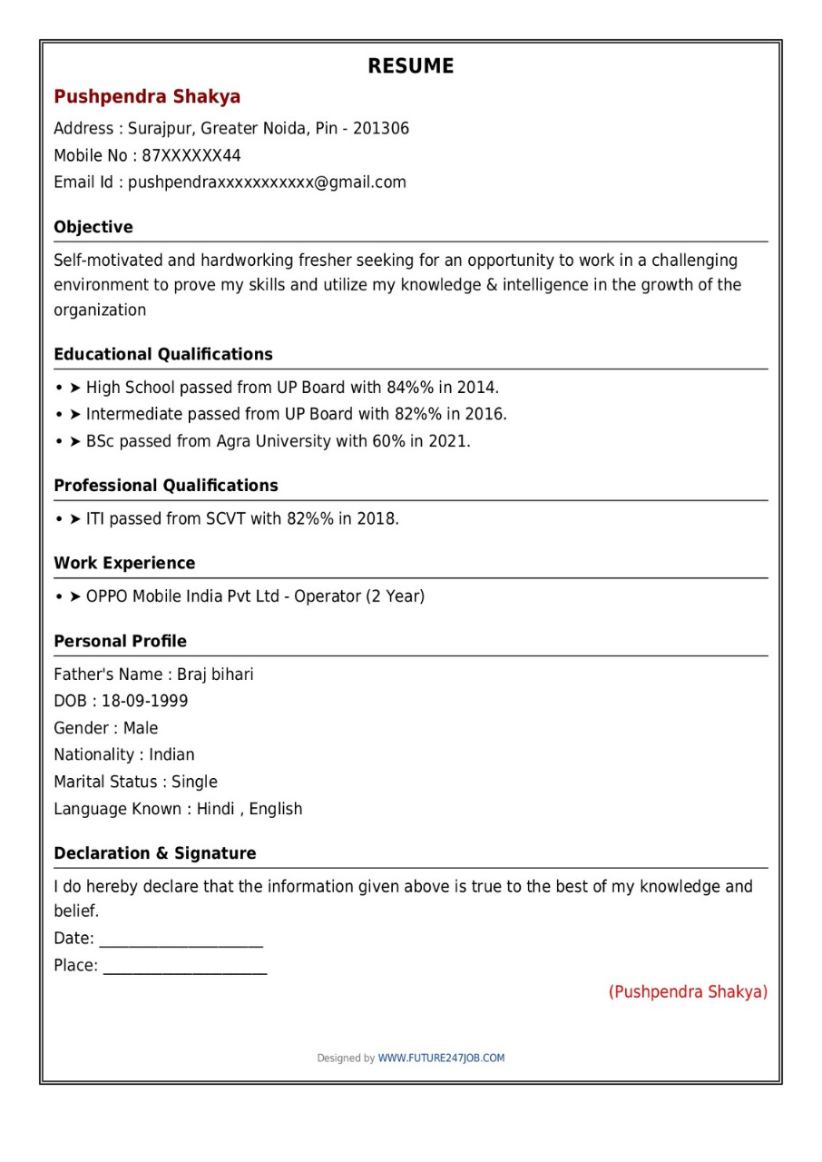 Resume Design 2