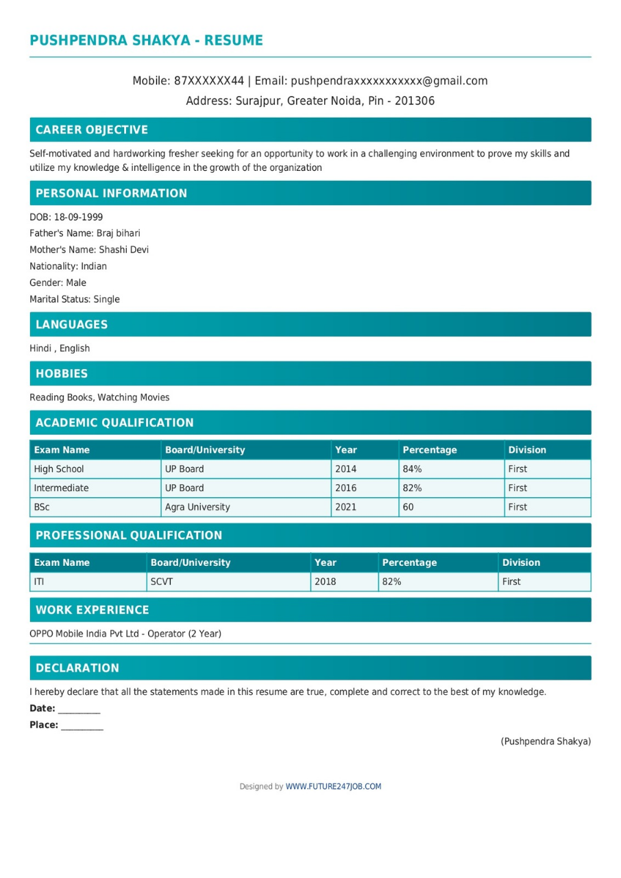 Resume Design 7